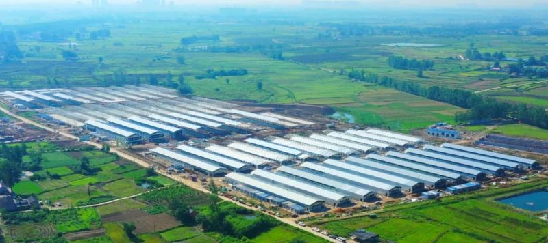 力中式快餐全國**品牌老鄉(xiāng)雞丨承建600萬羽養(yǎng)殖基地