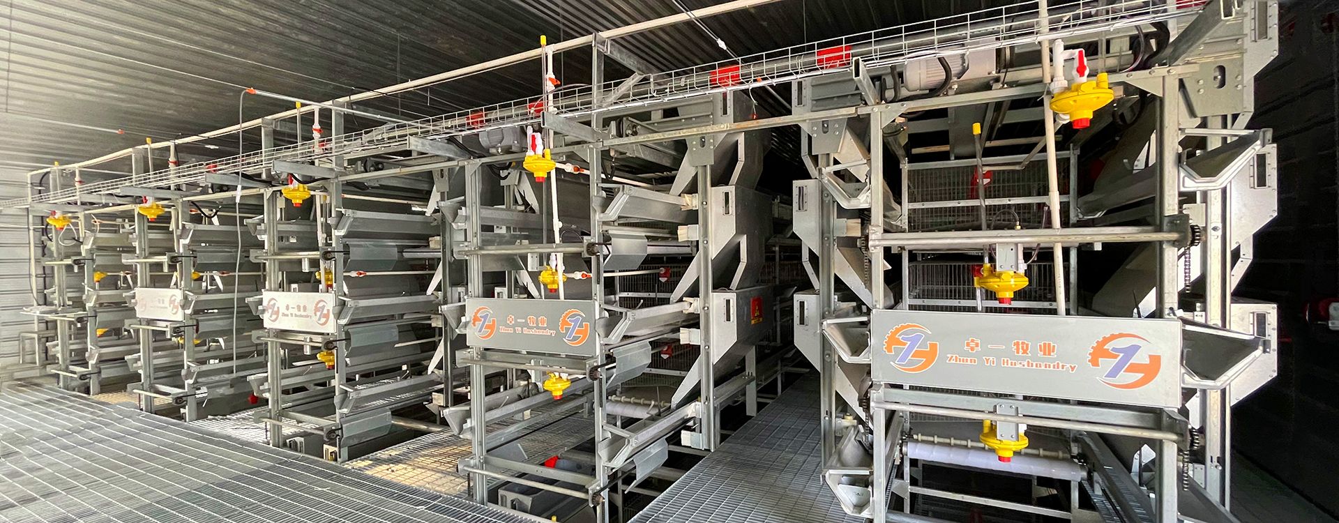 掌握蛋雞養(yǎng)殖要點，輕松進(jìn)行飼養(yǎng)工作