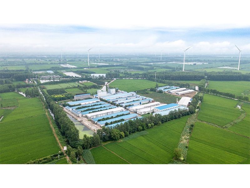 2023年中央一號(hào)文件出爐，畜禽產(chǎn)業(yè)應(yīng)抓住哪些新機(jī)遇？