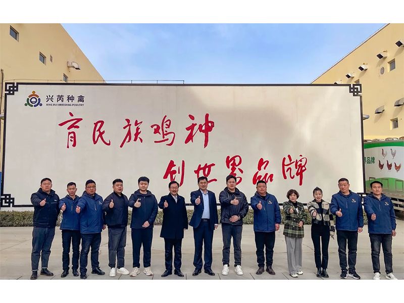 參觀學(xué)習(xí)促進步 交流合作贏發(fā)展︱卓一牧業(yè)赴興芮種禽、峪口禽業(yè)與瑞普生物參觀訪學(xué)