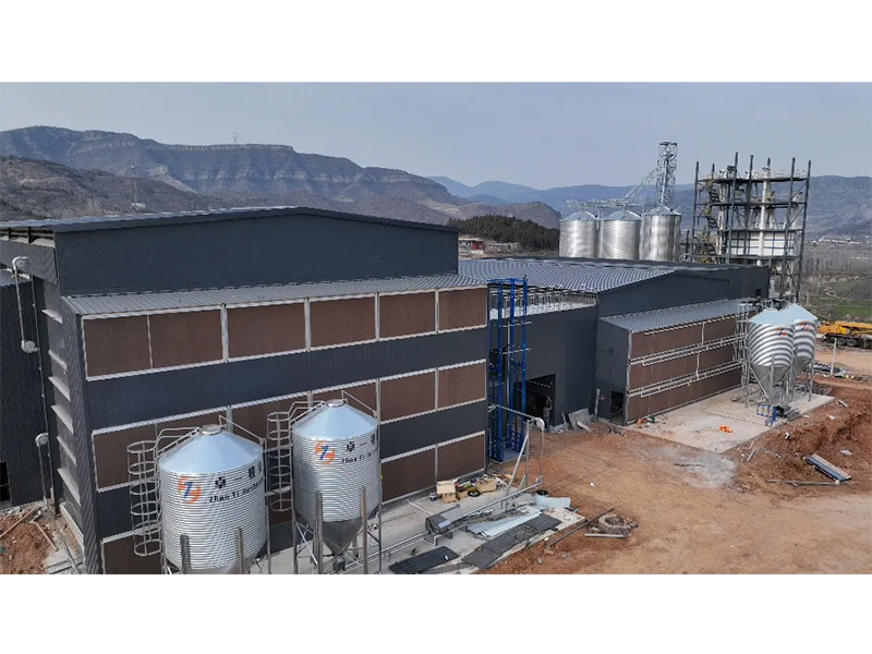 夏季養(yǎng)雞僅關注溫度環(huán)境？飼料安全須高度重視！