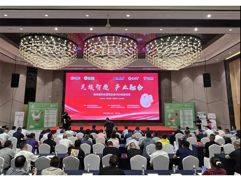 熱烈祝賀湖南規(guī)?；半u企業(yè)CEO高峰論壇取得圓滿成功！