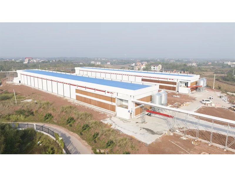 熱烈祝賀西南地區(qū)300萬羽蛋雞養(yǎng)殖基地驗(yàn)收成功，上雞大吉！