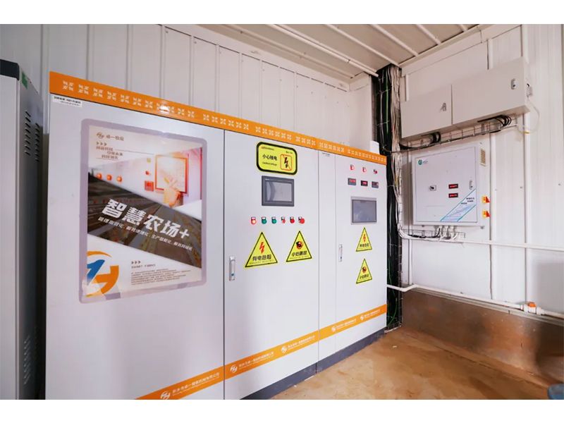 環(huán)境多變，春季養(yǎng)雞如何通風(fēng)？