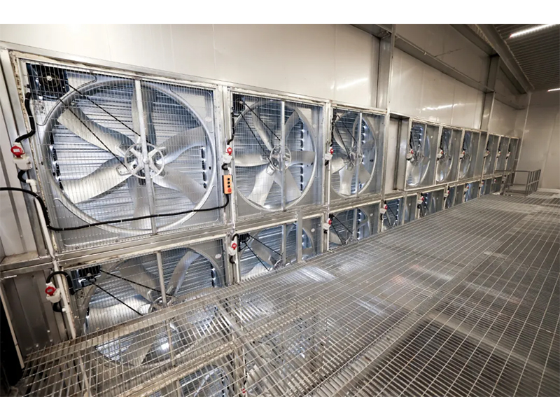 春夏氣溫驟升之際，雞舍應該采取哪些應對措施？