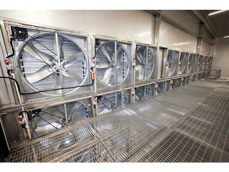 春夏氣溫驟升之際，雞舍應(yīng)該采取哪些應(yīng)對措施？