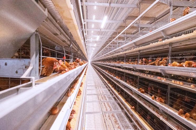 夏季來臨，使用水簾時需要注意哪些事項？