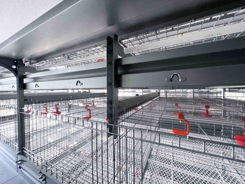 《全自動化養(yǎng)雞設備助力養(yǎng)殖業(yè)高效發(fā)展》